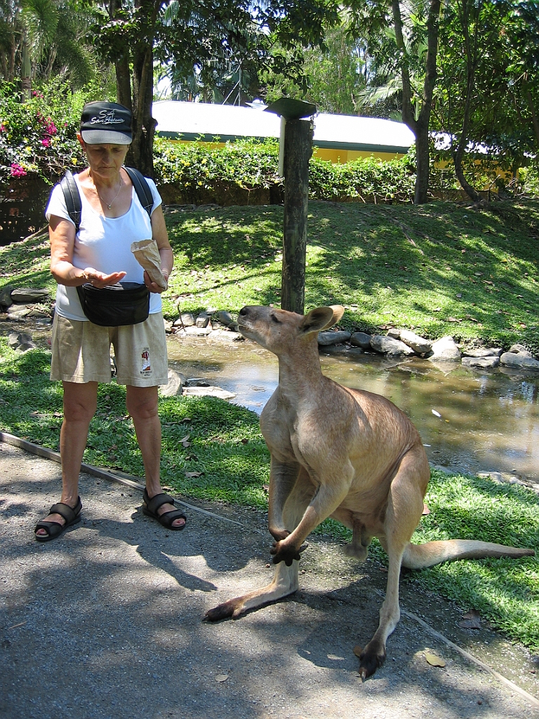 245 Wildlife Habitat Port Douglas.jpg